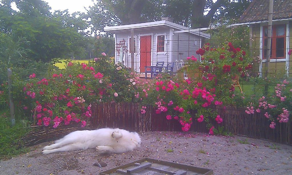 Borakra Bed & Breakfast Karlskrona Exterior foto